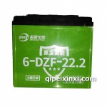 振盟电动车专用6-DZF-