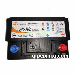 骆驼6-QTPE-60(640)蓄电池 骆驼6-QTPE-60(640)蓄电池