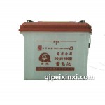 高寒專用DG12V180型電瓶蓄電池