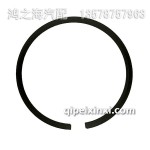 1004025-36FY-B活塞環組件