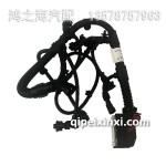 3724410C15SY-A發(fā)動(dòng)機(jī)線束總成