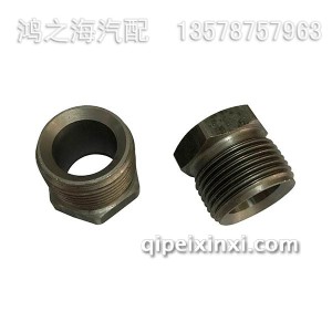 SF04900524螺母