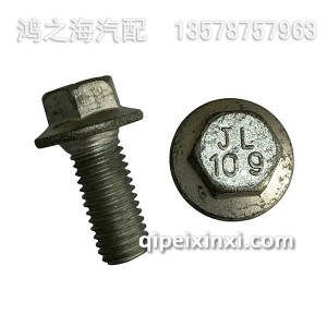 SF04904800螺栓