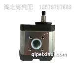 01174120齒輪泵