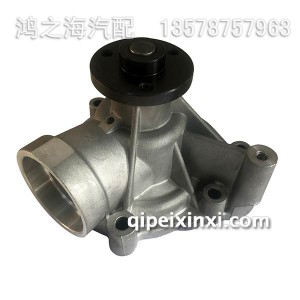 56D水泵大柴 56D水泵大柴