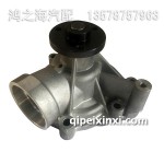 56D水泵大柴