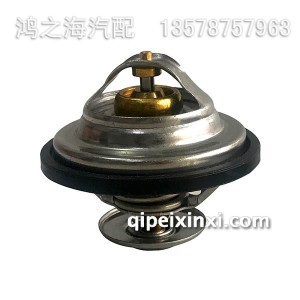 75度节温器 75度节温器