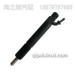 96P35道依茨喷油器