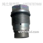 1110010028-390壓力限制閥