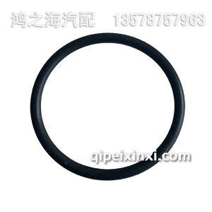 F04292209卡环 F04292209卡环