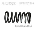 1007021-90D進(jìn)氣門彈簧