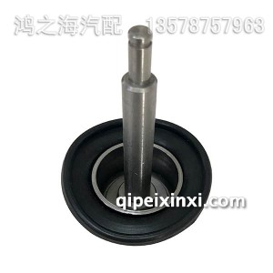 02111580--02113543-调速器活塞杆(带皮碗)