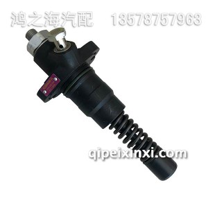 02113696-0414693006喷油器 02113696-0414693006喷油器