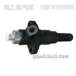 02113695道依茨單體泵