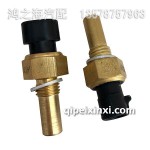 3602155A98D水溫大柴