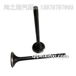 S1007012-90D排氣門