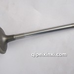 道依茨F04284042進氣門