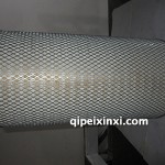 AA02978弗列加空滤芯