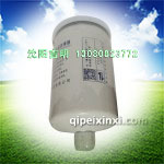 FS36247电喷高压共轨欧IV-V专用滤芯