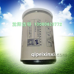 L0110210021A0电喷高压共轨欧IV-V专用