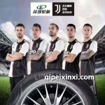 225-55R19-G-M-W-ICE-1-15-SUV冬季轮胎