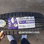 215-65R16C-8PR-冬季專用冰雪地輪胎