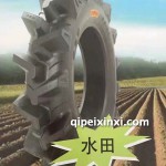 CA10水田輪胎