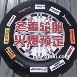 沈陽優(yōu)科豪馬冬季胎