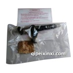 600PG4喷油器总成