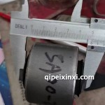 騎士后羊角膠套