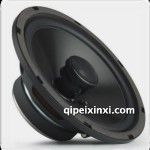 C651A同軸揚聲器