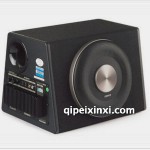 CW810有源低音炮