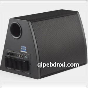 CW1000C有源低音炮