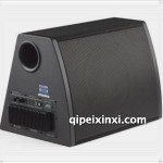 CW1000C有源低音炮