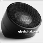 P6NT高音揚聲器