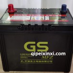 6-QW-60-GS蓄電池