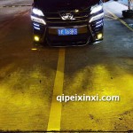 豐田威爾法黃金眼霧燈