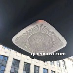 丰田威尔法喇叭罩