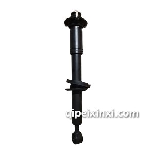 N350域虎(4X4)前减芯子 N350域虎(4X4)前减芯子