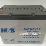 6-EVF-75蓄電池