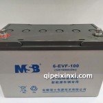 6-EVF-100蓄電池