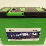 理士6-EVF-28.9蓄電池