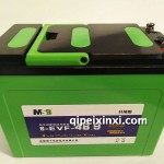 理士6-EVF-46.9蓄电池