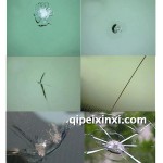 修復(fù)玻璃損傷