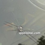 长春玻璃破碎修复