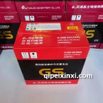 6-QW-60（500）电池