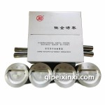 閣瑞斯V19活塞