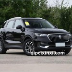 寶沃BX5
