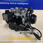 ECAS連體電磁閥