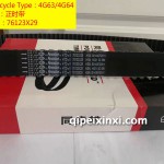 76123X29蓋茨正時帶